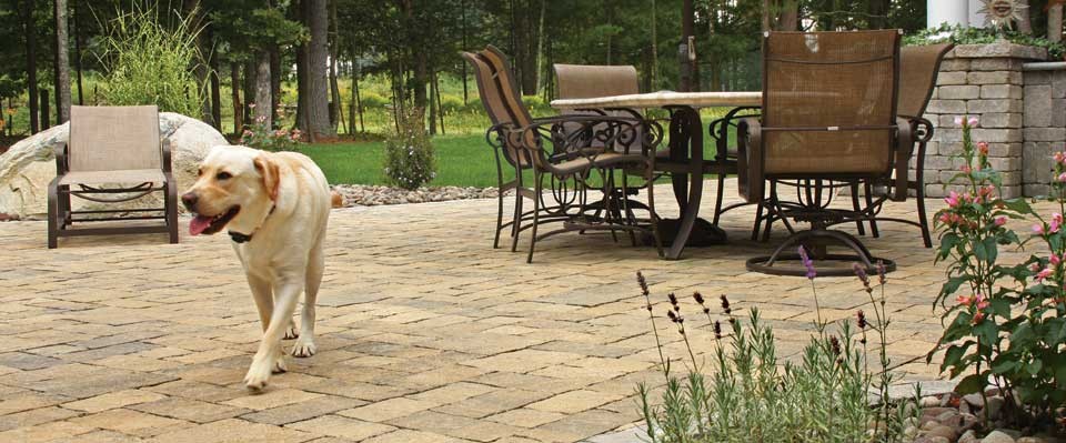 Patio Dining