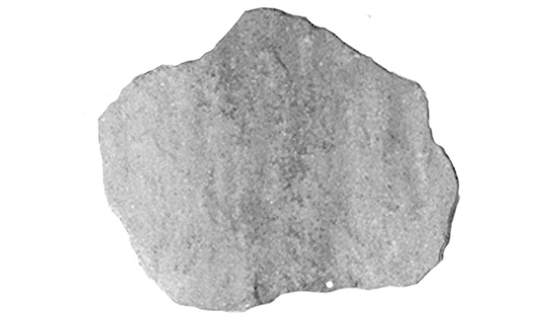 Grey Freeform Stepping Stone